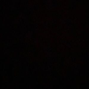 Meet your Posher, Brandie